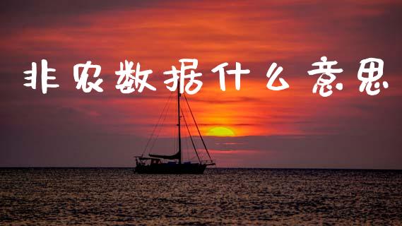非农数据什么意思_https://cj007.lansai.wang_金融监管_第1张
