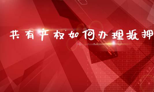 共有产权如何办理抵押_https://cj007.lansai.wang_全球市场_第1张