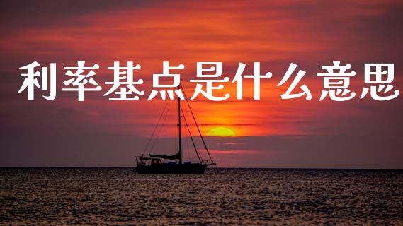利率基点是什么意思_https://cj007.lansai.wang_外汇交易_第1张