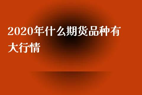 2020年什么期货品种有大行情_https://cj007.lansai.wang_财经新闻_第1张