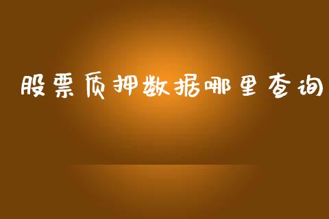 股票质押数据哪里查询_https://cj007.lansai.wang_期货开户_第1张