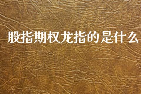 股指期权龙指的是什么_https://cj007.lansai.wang_期货开户_第1张