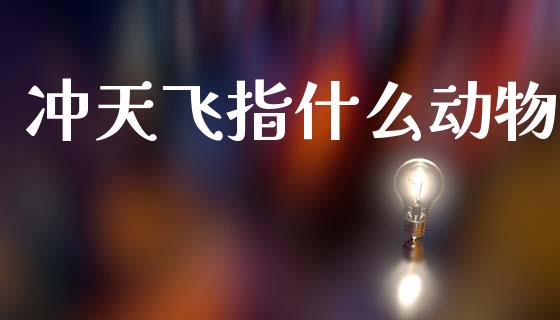 冲天飞指什么动物_https://cj007.lansai.wang_期货开户_第1张