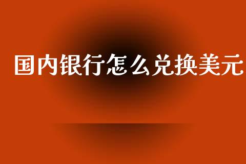 国内银行怎么兑换美元_https://cj007.lansai.wang_外汇交易_第1张