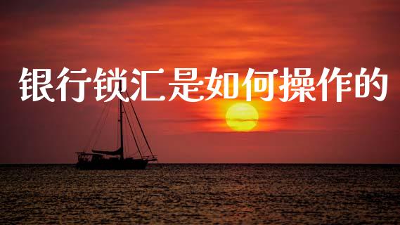 银行锁汇是如何操作的_https://cj007.lansai.wang_外汇交易_第1张