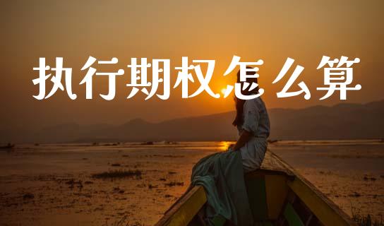 执行期权怎么算_https://cj007.lansai.wang_债券资讯_第1张