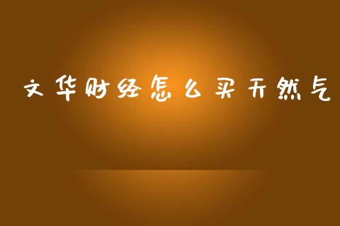 文华财经怎么买天然气_https://cj007.lansai.wang_金融监管_第1张