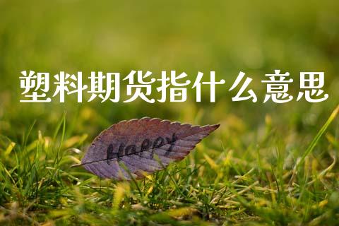 塑料期货指什么意思_https://cj007.lansai.wang_金融监管_第1张