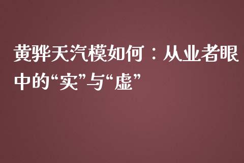 黄骅天汽模如何：从业者眼中的“实”与“虚”_https://cj007.lansai.wang_外汇交易_第1张