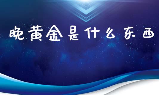 晚黄金是什么东西_https://cj007.lansai.wang_债券资讯_第1张