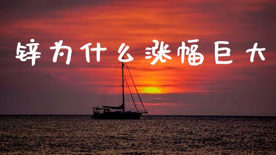 锌为什么涨幅巨大_https://cj007.lansai.wang_债券资讯_第1张