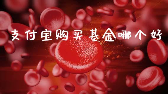 支付宝购买基金哪个好_https://cj007.lansai.wang_金融监管_第1张