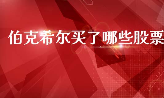 伯克希尔买了哪些股票_https://cj007.lansai.wang_外汇交易_第1张
