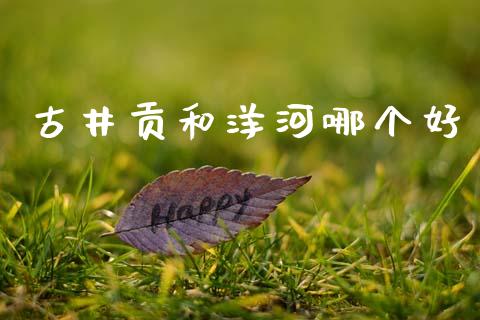 古井贡和洋河哪个好_https://cj007.lansai.wang_财经新闻_第1张