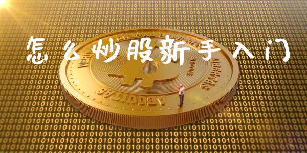怎么炒股新手入门_https://cj007.lansai.wang_金融监管_第1张