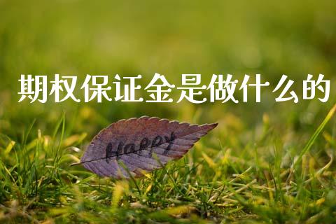 期权保证金是做什么的_https://cj007.lansai.wang_债券资讯_第1张