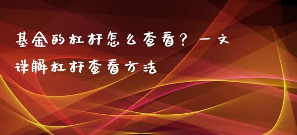 基金的杠杆怎么查看？一文详解杠杆查看方法_https://cj007.lansai.wang_债券资讯_第1张