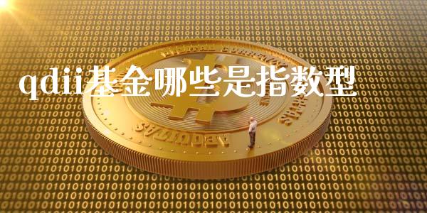 qdii基金哪些是指数型_https://cj007.lansai.wang_期货开户_第1张