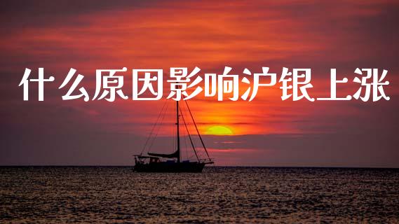 什么原因影响沪银上涨_https://cj007.lansai.wang_期货开户_第1张