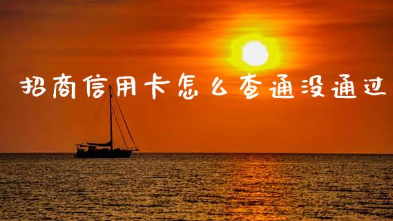 招商信用卡怎么查通没通过_https://cj007.lansai.wang_全球市场_第1张