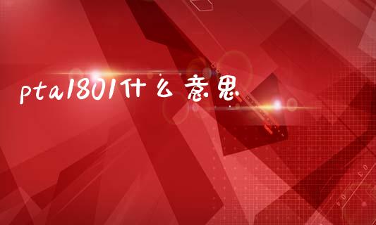 pta1801什么意思_https://cj007.lansai.wang_债券资讯_第1张