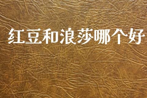 红豆和浪莎哪个好_https://cj007.lansai.wang_金融监管_第1张