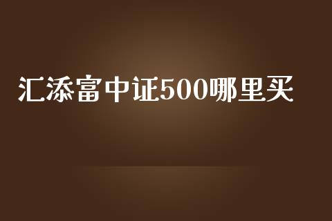 汇添富中证500哪里买_https://cj007.lansai.wang_财经新闻_第1张