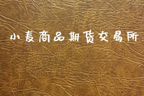 小麦商品期货交易所_https://cj007.lansai.wang_全球市场_第1张