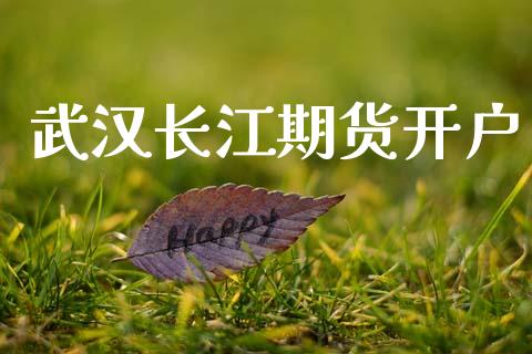 武汉长江期货开户_https://cj007.lansai.wang_外汇交易_第1张