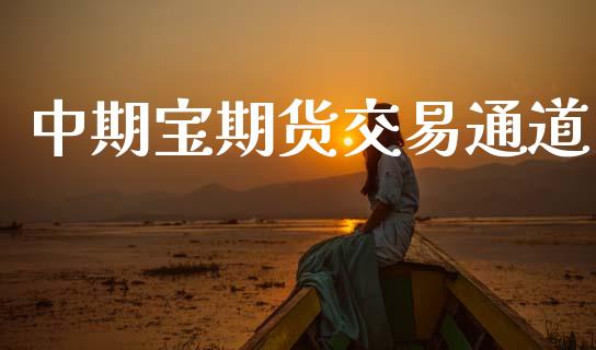 中期宝期货交易通道_https://cj007.lansai.wang_外汇交易_第1张