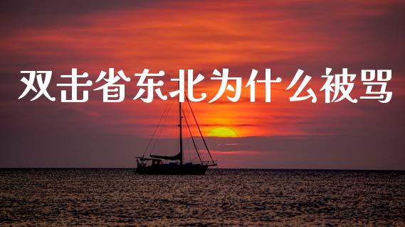 双击省东北为什么被骂_https://cj007.lansai.wang_期货开户_第1张