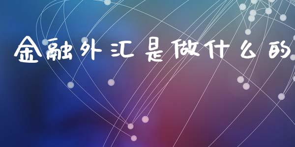 金融外汇是做什么的_https://cj007.lansai.wang_债券资讯_第1张