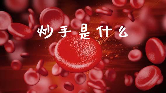 炒手是什么_https://cj007.lansai.wang_债券资讯_第1张