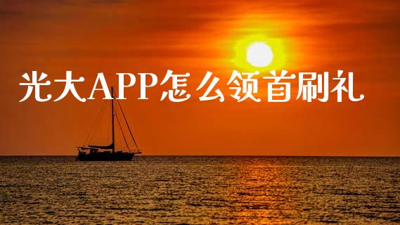光大APP怎么领首刷礼_https://cj007.lansai.wang_财经新闻_第1张