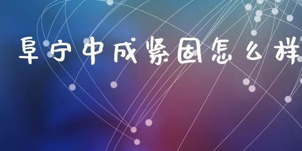 阜宁中成紧固怎么样_https://cj007.lansai.wang_债券资讯_第1张