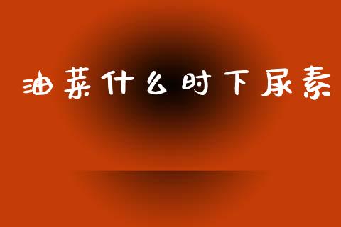 油菜什么时下尿素_https://cj007.lansai.wang_债券资讯_第1张