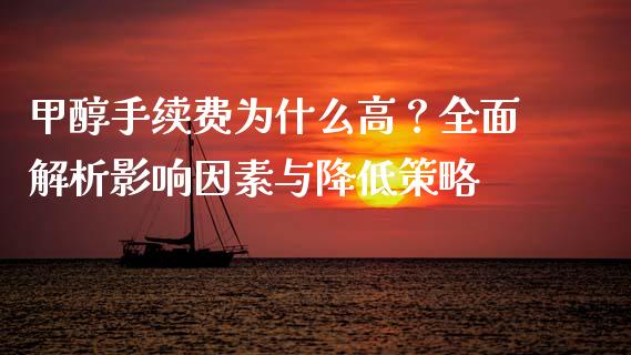 甲醇手续费为什么高？全面解析影响因素与降低策略_https://cj007.lansai.wang_金融监管_第1张