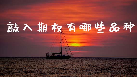 敲入期权有哪些品种_https://cj007.lansai.wang_外汇交易_第1张