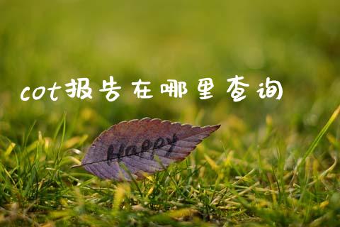 cot报告在哪里查询_https://cj007.lansai.wang_债券资讯_第1张