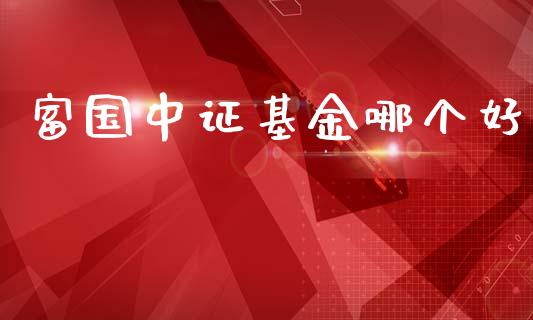 富国中证基金哪个好_https://cj007.lansai.wang_外汇交易_第1张
