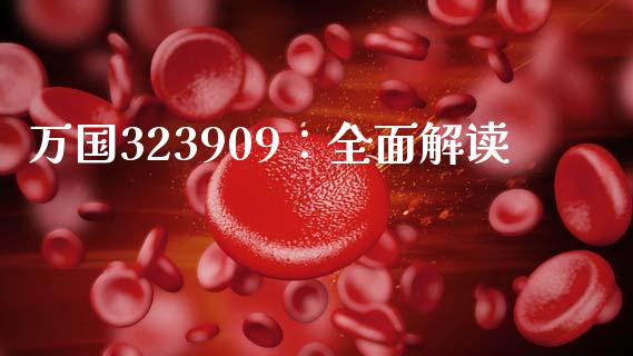 万国323909：全面解读_https://cj007.lansai.wang_全球市场_第1张