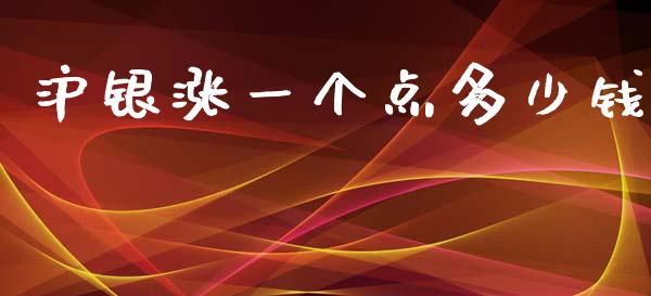 沪银涨一个点多少钱_https://cj007.lansai.wang_全球市场_第1张