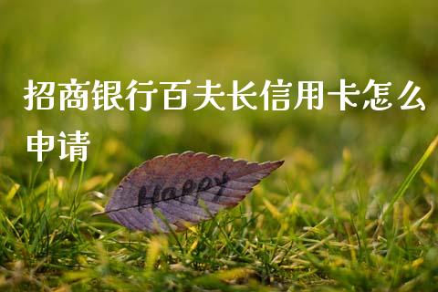 招商银行百夫长信用卡怎么申请_https://cj007.lansai.wang_财经新闻_第1张