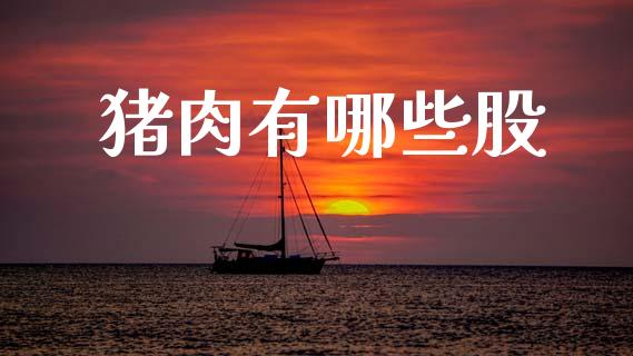 猪肉有哪些股_https://cj007.lansai.wang_财经新闻_第1张