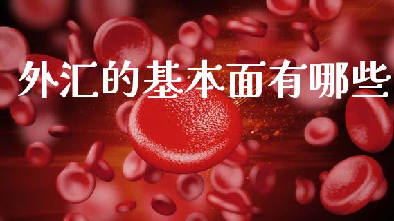外汇的基本面有哪些_https://cj007.lansai.wang_期货开户_第1张