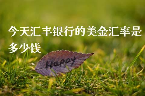 今天汇丰银行的美金汇率是多少钱_https://cj007.lansai.wang_期货开户_第1张