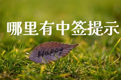 哪里有中签提示_https://cj007.lansai.wang_全球市场_第1张