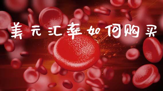 美元汇率如何购买_https://cj007.lansai.wang_外汇交易_第1张
