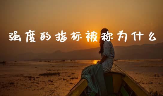 强度的指标被称为什么_https://cj007.lansai.wang_金融监管_第1张
