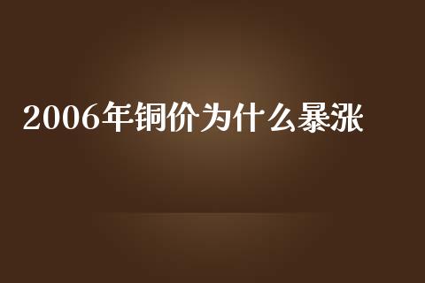 2006年铜价为什么暴涨_https://cj007.lansai.wang_期货开户_第1张